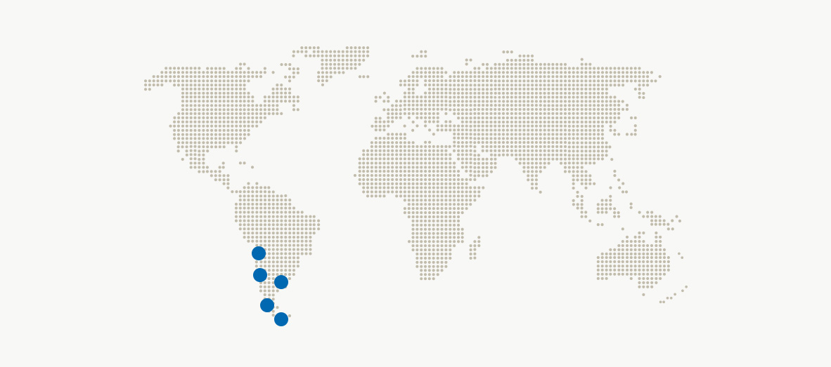 21-Leones-Marinos-Patagonia