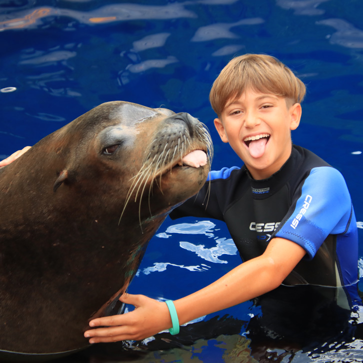 Encuentro con leones marinos