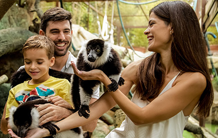 Foto con Lémur Vari