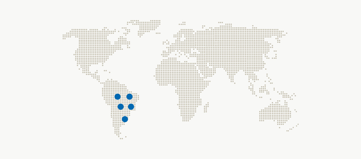 2-Armadillo-Seis-Bandas