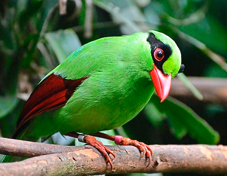 Galería Bosque Silencioso