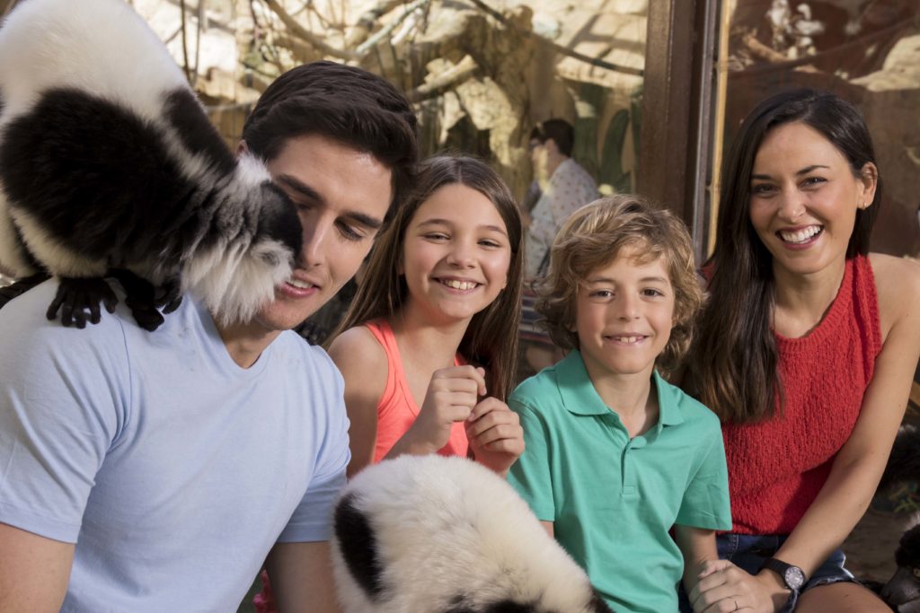 familia sentada con lemures en mundomar