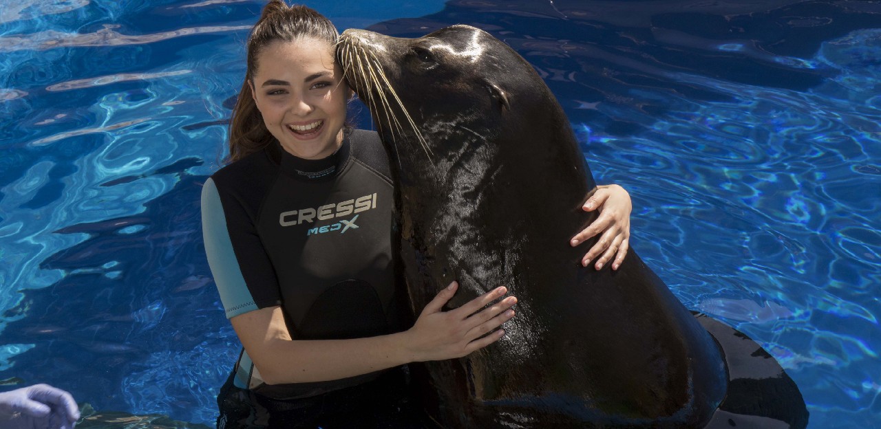 Chica posando con un león marino
