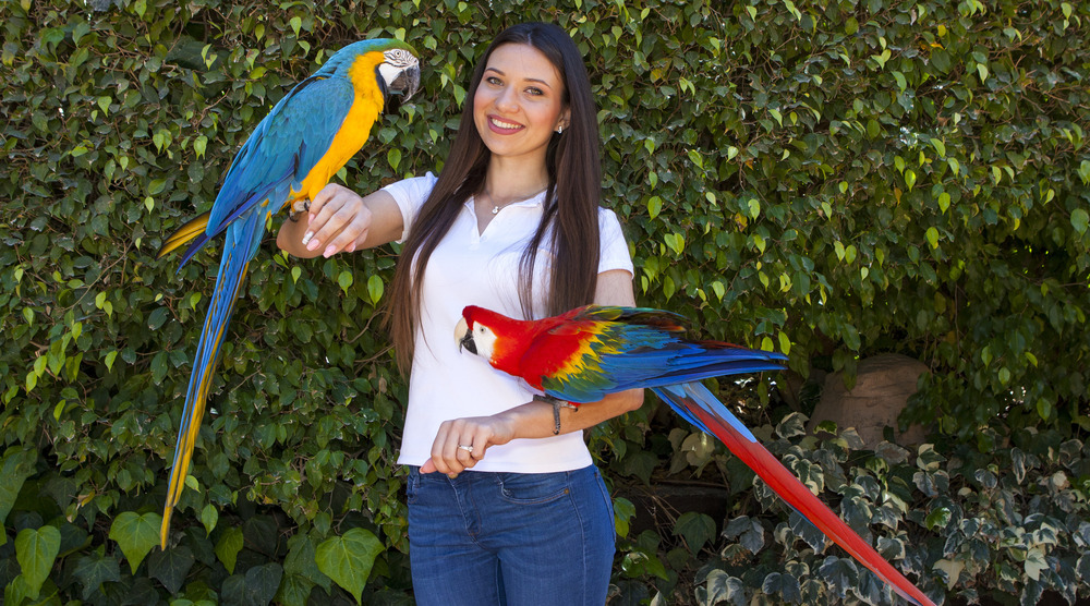 Chica posando junto a dos Guacamayos