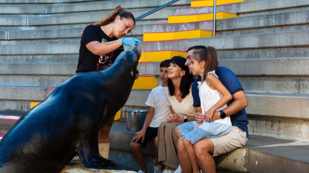 family with a sea lion